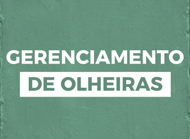 Leia mais sobre o artigo Gerenciamento de olheiras